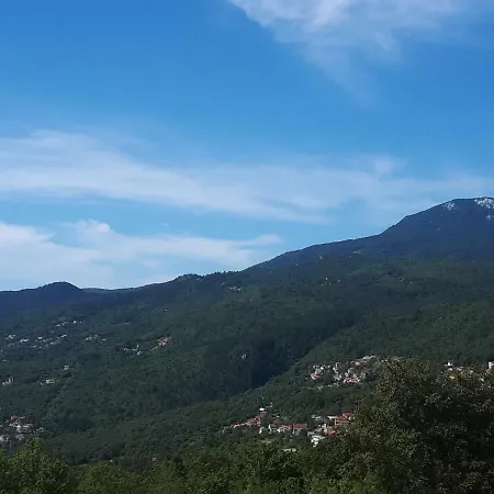 Korić